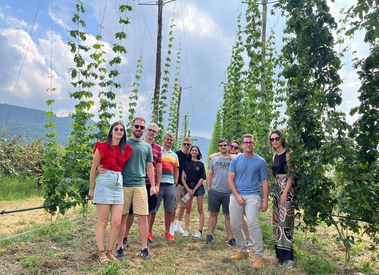 A group of people standing in a vineyard with rows of grapevines. 4