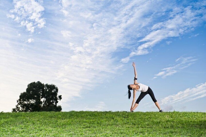 A person performing a yoga pose on a grassy field with a tree and a clear sky in the background. 1