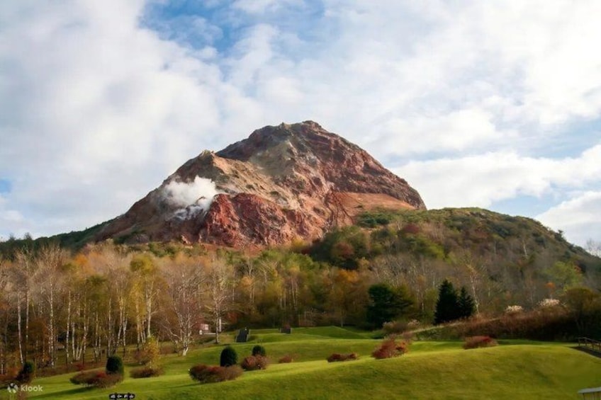 A mountain with a grassy foreground and trees. 3