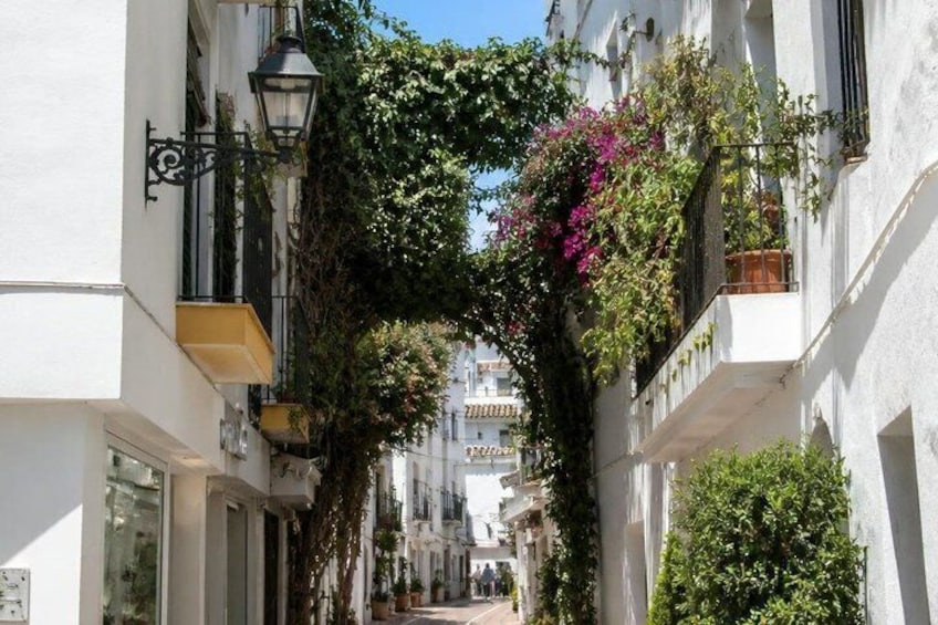 A narrow street with white buildings, a hanging vine, and a street lamp. 5