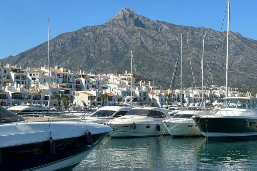 A marina with boats, a mountain in the background, and white buildings. 4