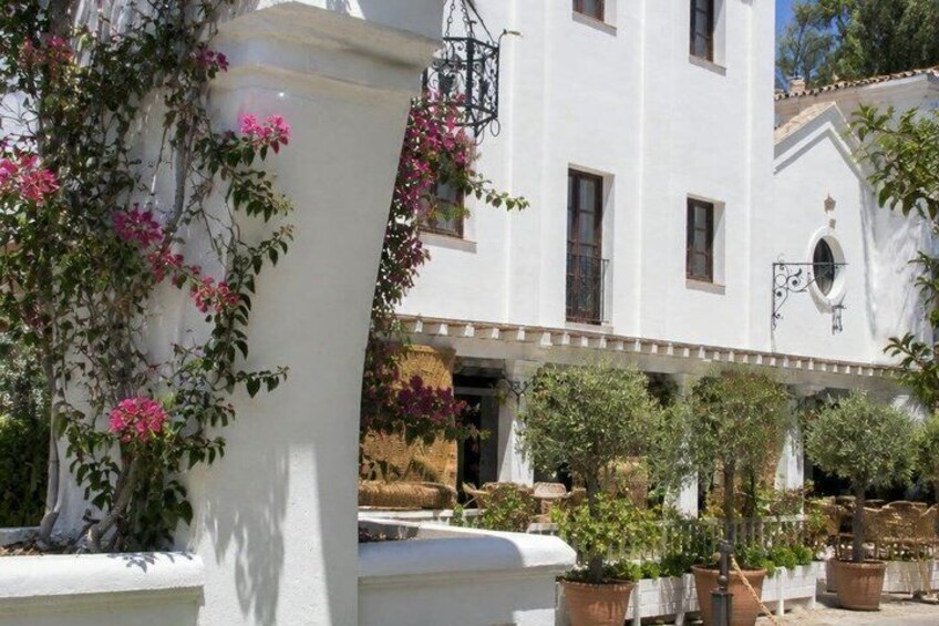 A white building with a balcony, potted plants, and flowering vines. 2