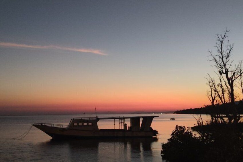 A boat docked at sunset with a tree and a clear sky. 5