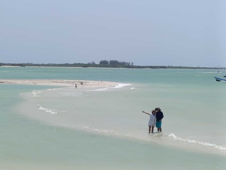 A beach with clear turquoise water, a sandy shore, and a distant tree line. 3