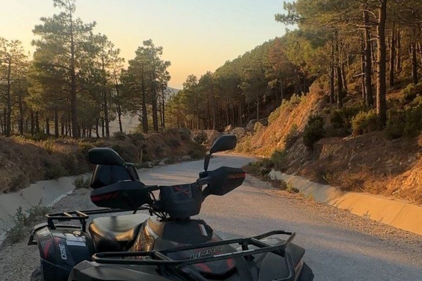 A quad bike parked on a road surrounded by pine trees. 2