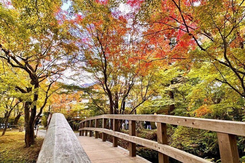 A wooden bridge in a park with autumn-colored trees. 4