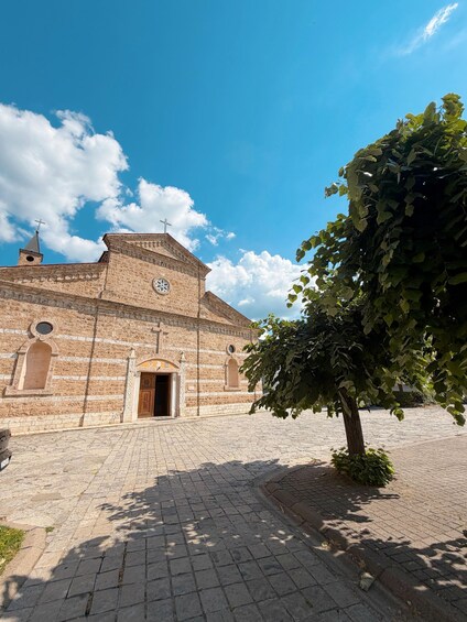 A historic church with a brick facade, a bell tower, and a large tree in the foreground. 4