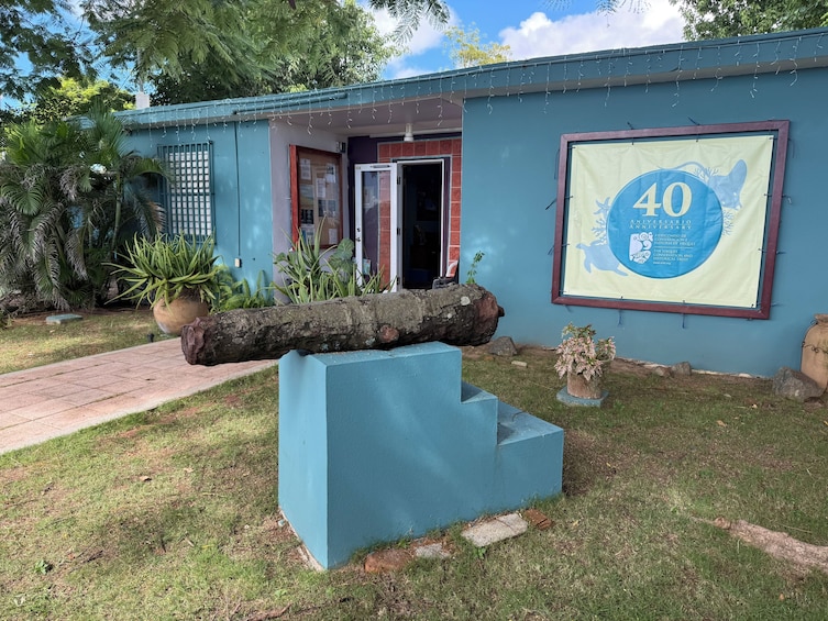 A building with a blue exterior, a large rock feature in front, and a banner on the wall indicating a 40th anniversary. 5