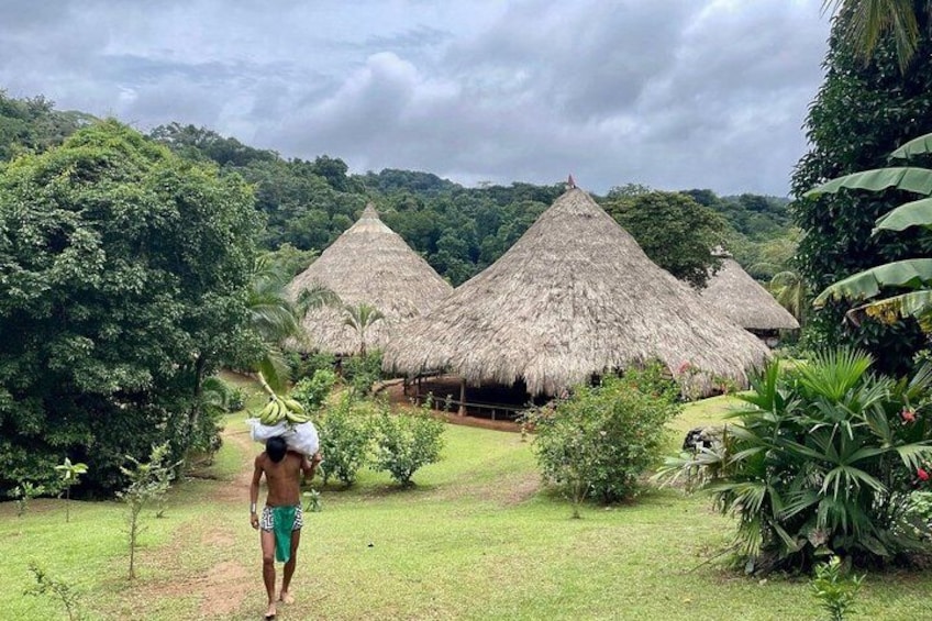 A person walking towards thatched-roof huts in a lush green landscape. 2