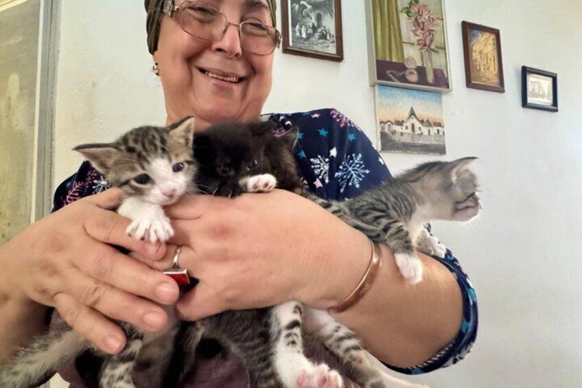 A person holding two kittens. 4