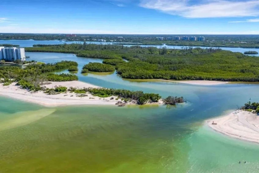A coastal landscape with a sandy beach, clear waters, and a dense mangrove area. 1