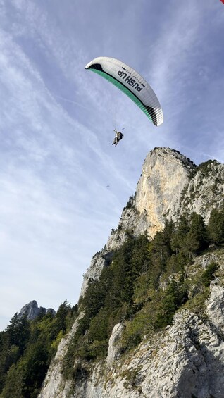 Picture 4 for Activity Annecy: Thermal Paragliding Flight with Refreshments 2