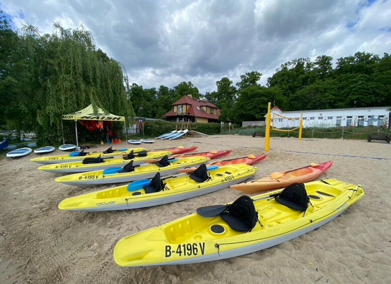A row of yellow kayaks on a sandy beach with a tent labeled 'NAISH' in the background. 2