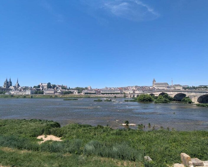 A river with a bridge, a city skyline, and greenery in the foreground. 1