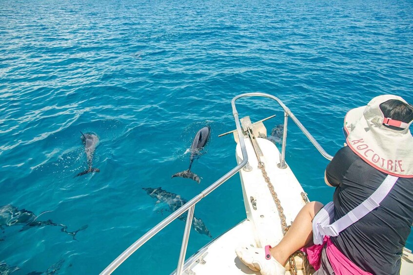 A person on a boat with dolphins swimming in the water. 4
