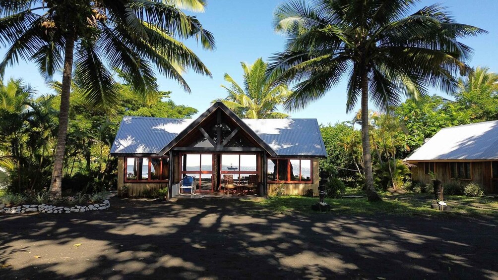 A wooden house with a metal roof surrounded by palm trees. 2