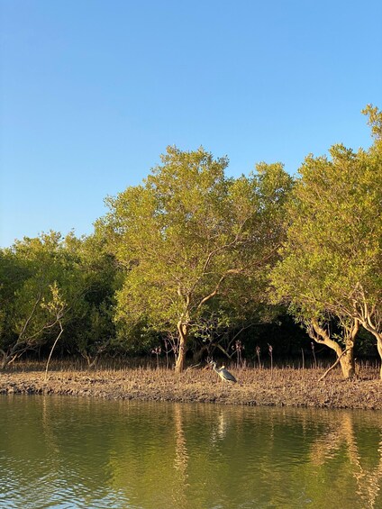 A calm river with trees reflecting on the water's surface. 4