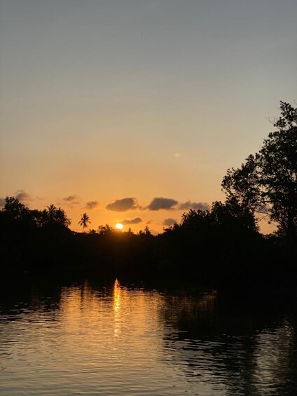 A sunset over a calm body of water with silhouettes of trees and a clear sky. 3