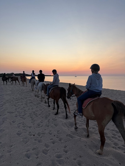 A group of people riding horses along a beach at sunset. 3
