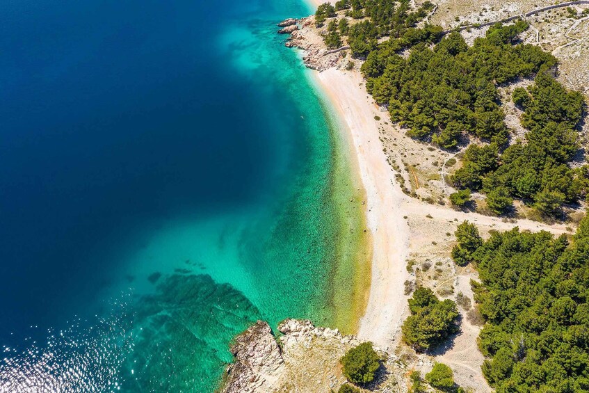 A coastal landscape with a clear turquoise sea, sandy beach, and dense green forest. 1