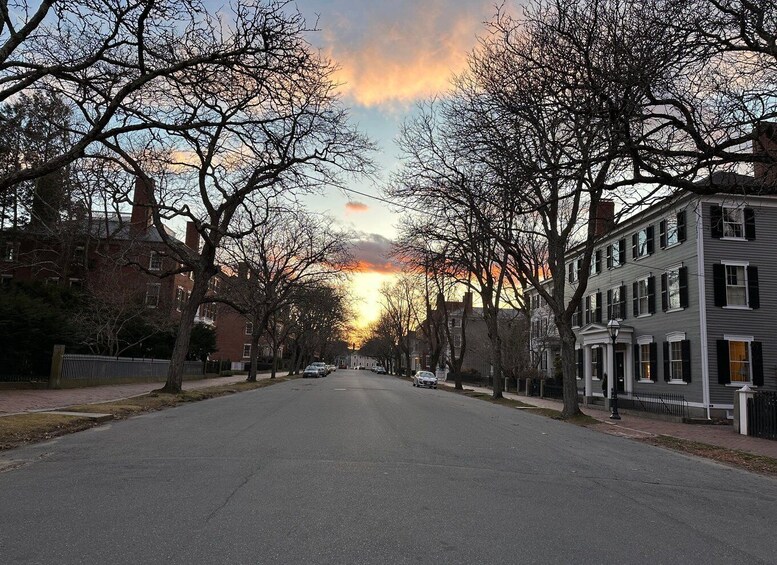 A tree-lined street with buildings, a sunset in the background, and a clear sky. 3
