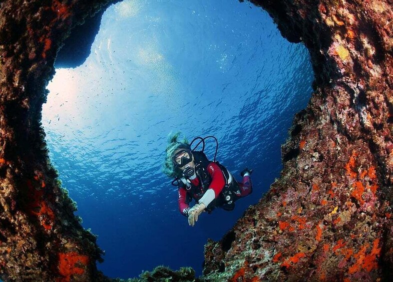 A diver in a red and black wetsuit exploring a large underwater cave with vibrant red and orange coral formations. 1