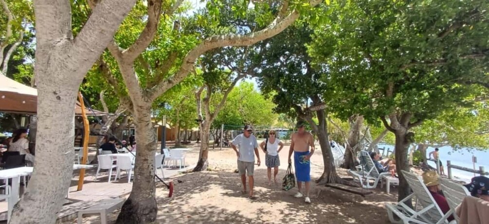 A beach with trees, people, and beach chairs. 5