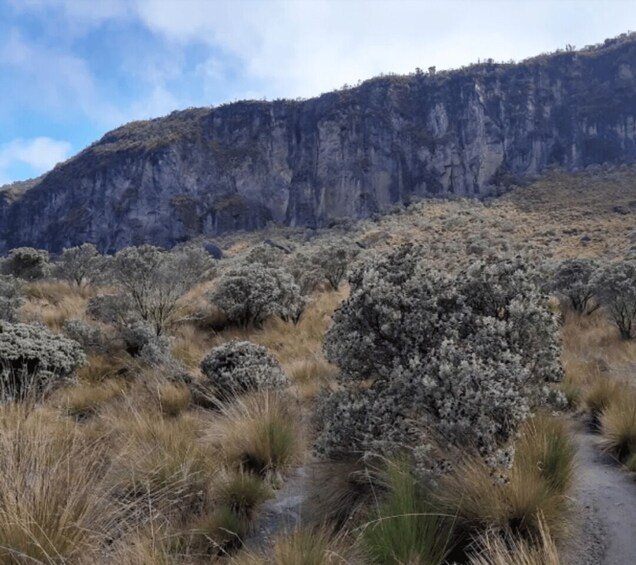 A rugged landscape with a dirt path, sparse shrubbery, and a steep cliff in the background. 5