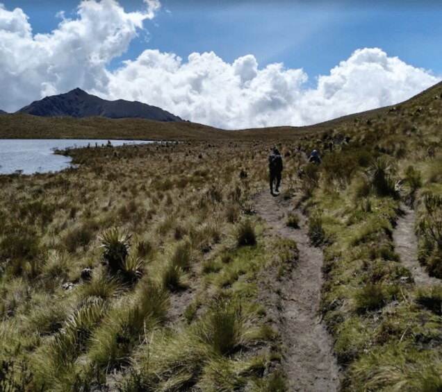 A trail leading to a mountainous area with sparse vegetation and a body of water in the background. 3