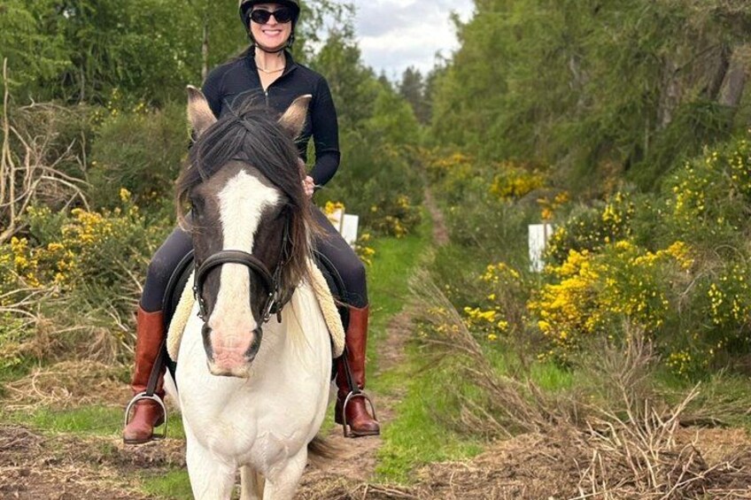 A person riding a white horse with a black mane and tail, on a dirt path surrounded by greenery and yellow flowers. 1