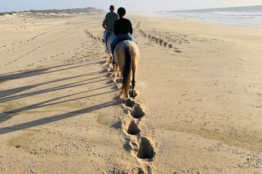 A horse and rider walking along a sandy beach with footprints leading the way. 2