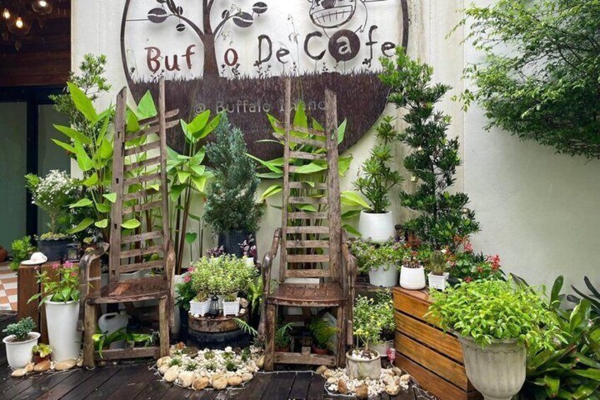 A garden with wooden chairs, potted plants, and a wall with the text 'Buf O De Cafe'. 5