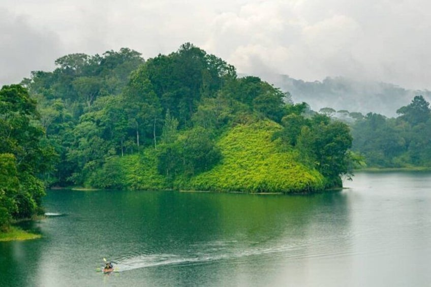 A calm lake surrounded by dense green forest, a small boat with a single person, and a misty mountain in the background. 1
