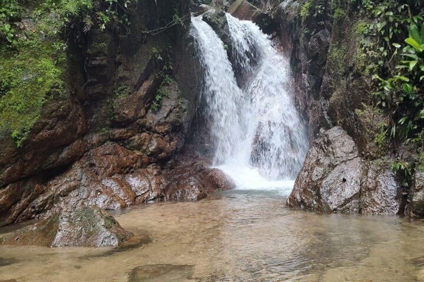 A waterfall cascading over rocks into a pool of water surrounded by greenery. 2
