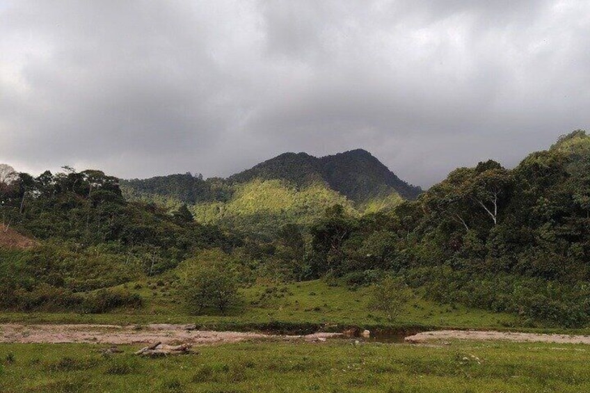 A lush green landscape with a river, a hill, and a cloudy sky. 4
