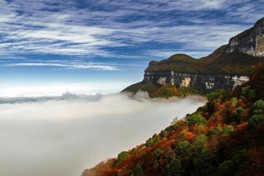 A mountainous landscape with a forested area and a cliff. 1