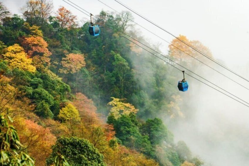 A cable car system in a forested area with mist. 3