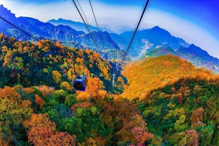 A cable car in a mountainous area with autumn foliage. 2