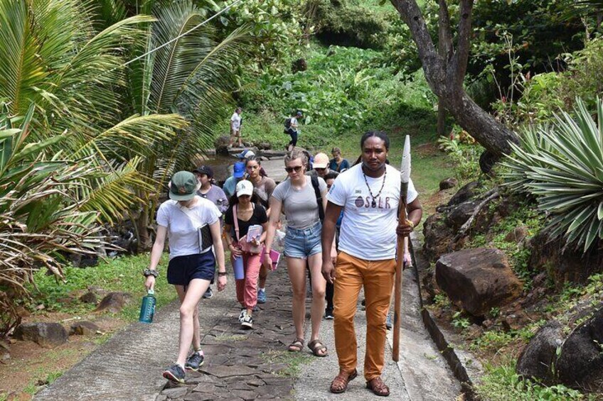 A group of people walking on a stone path surrounded by tropical vegetation. 1