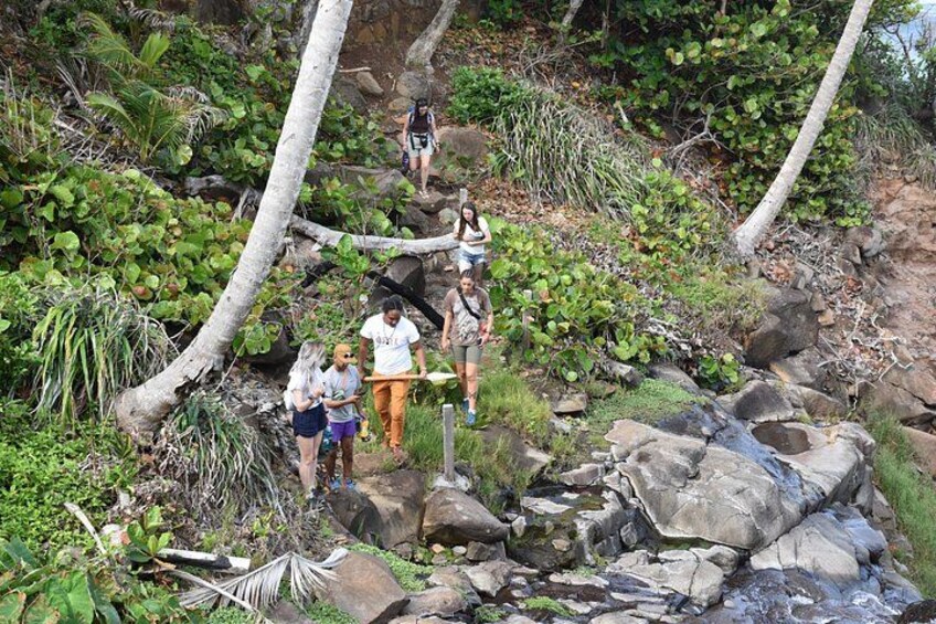A group of people hiking on a rocky trail surrounded by lush greenery. 5