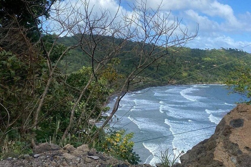 A coastal landscape with waves, vegetation, and a hilly background. 3
