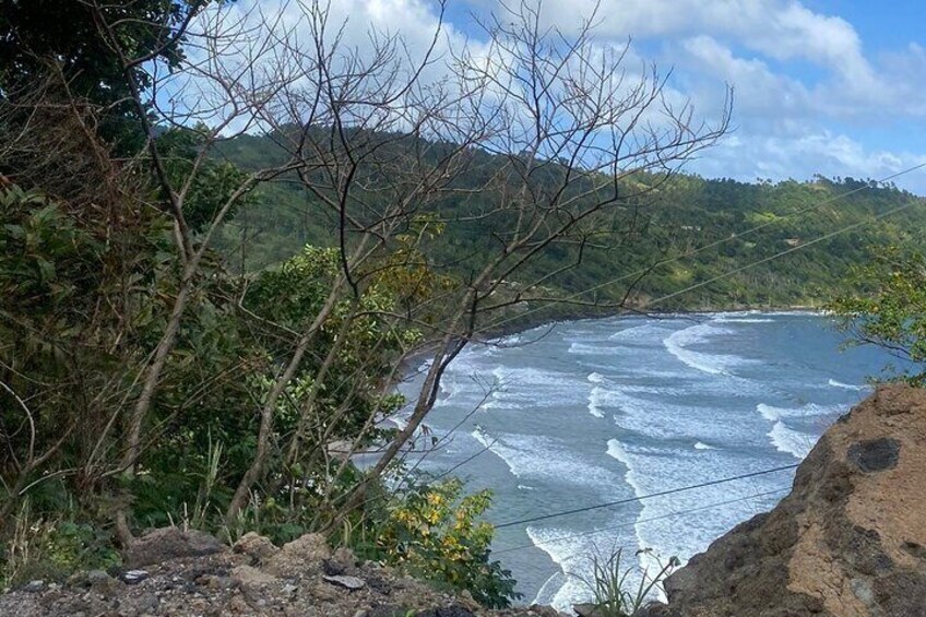 A coastal landscape with waves, vegetation, and a mountainous background. 4