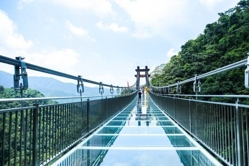 A suspension bridge with glass panels and metal railings, surrounded by lush greenery and mountains in the background. 4