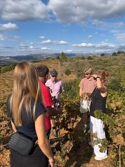 Picture 18 for Activity Tarragona: 4x4 + 7 Wine Tasting + Pica Tapas + Hotel Pickup 2