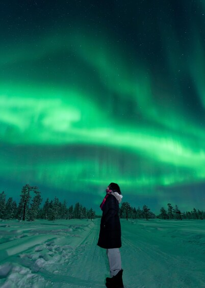 A person standing on a snow-covered path under a night sky with the aurora borealis. 1