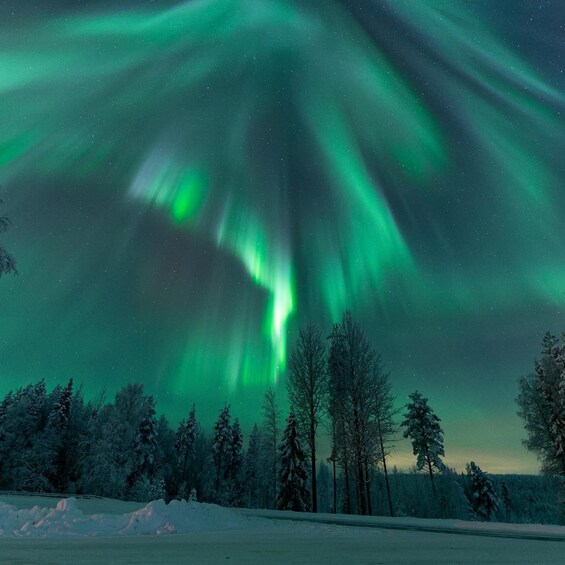 The Northern Lights over a snowy landscape with trees. 3