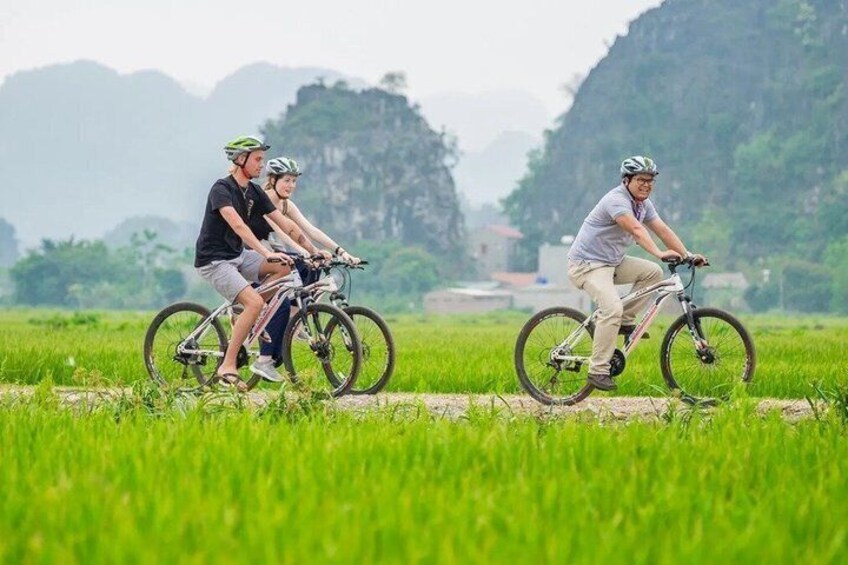 Three people riding bicycles on a path through a green field with mountains in the background. 2