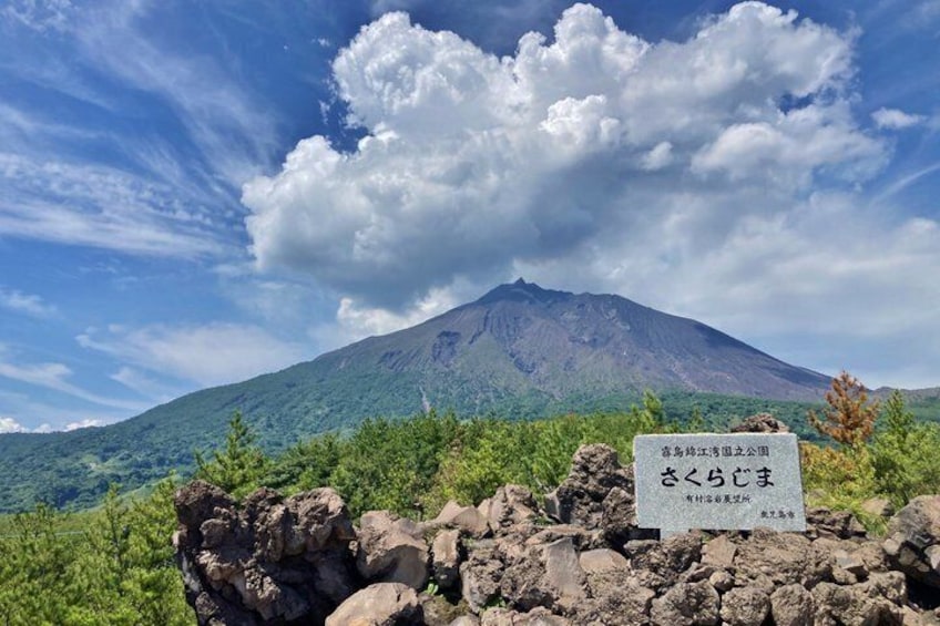 A mountain with a sign in front. 4
