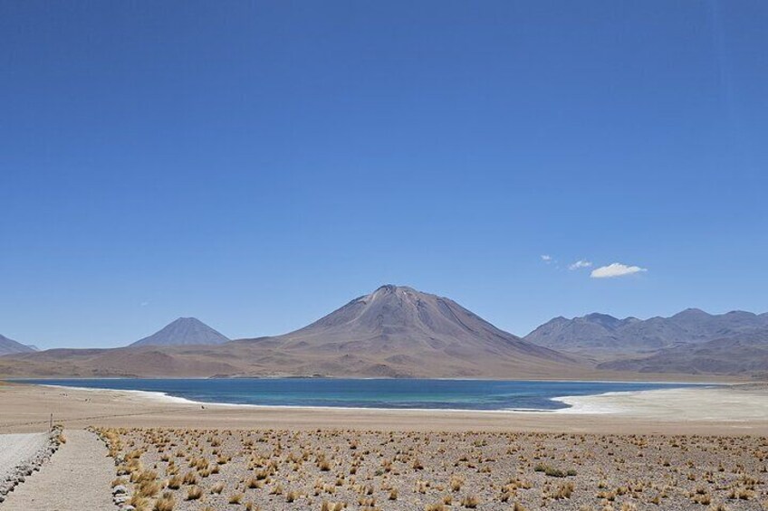 A desert landscape with a large mountain, a body of water, and sparse vegetation. 4