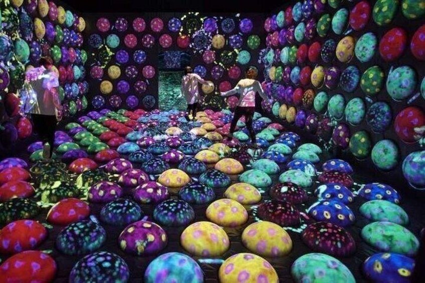 A room filled with colorful eggs arranged in rows. 1